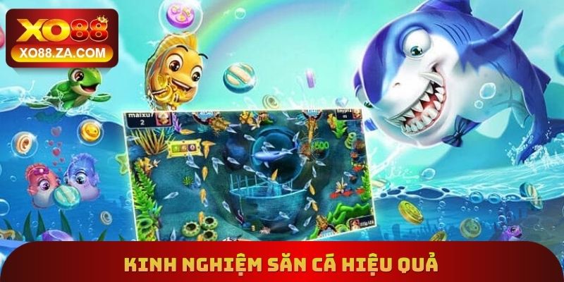 Kinh nghiệm săn cá hiệu quả