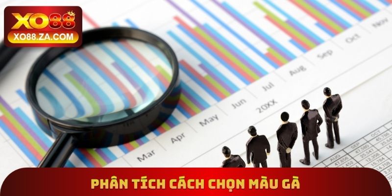 Cách Chọn Màu Gà Xo88 - Tìm Hiểu Cách Lựa Chọn Chính Xác 3 Phân tích cách chọn màu gà