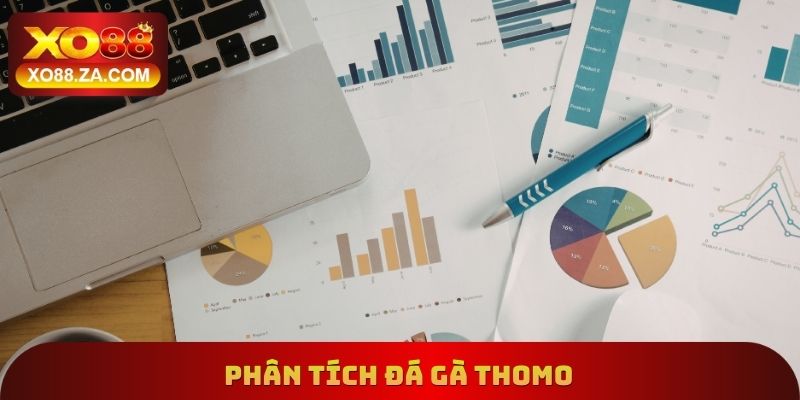 Phân tích đá gà Thomo